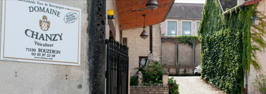 Домэн Шанзи (Domaine Chanzy)